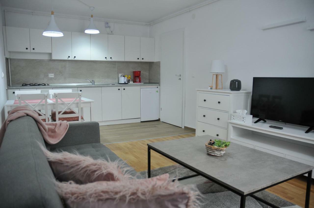 סיגישוארה Ana Cristina Apartament מראה חיצוני תמונה